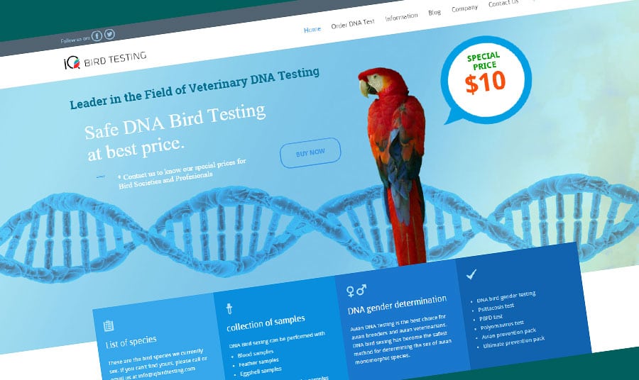 Página web IQbirdtesting