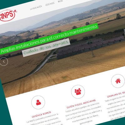 Página web ANPS
