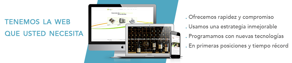 Diseño web madrid